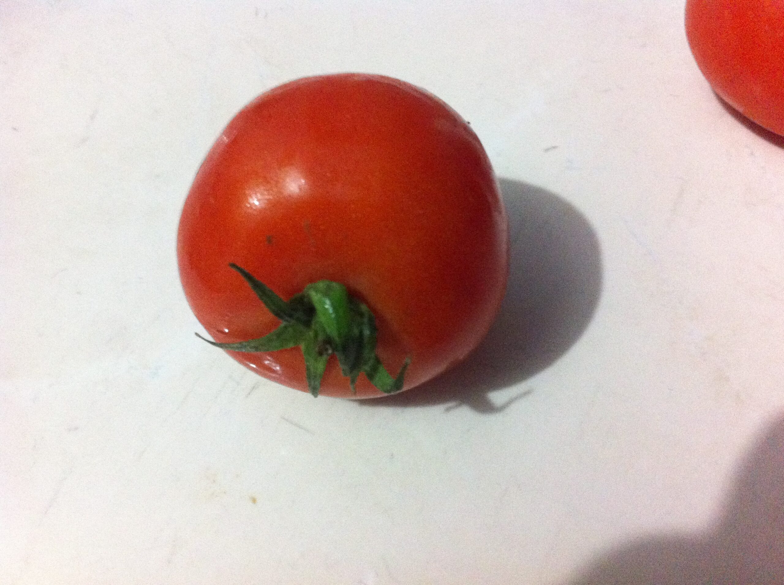 rever de tomate